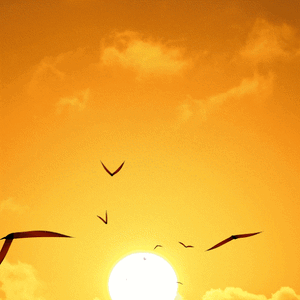 fly in the light.gif