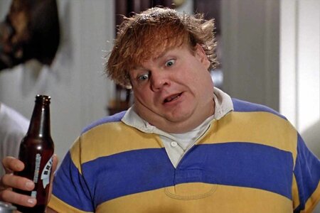 TommyBoy-1024x683.jpg