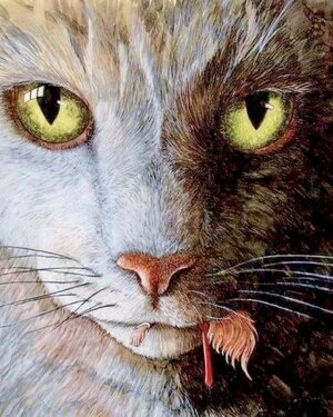 image1.jpg image1.jpg