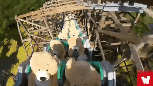 22-Plush-Teddy-Bears-Go-on-Rollercoaster.gif