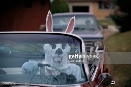 driving 3.jpg driving 3.jpg