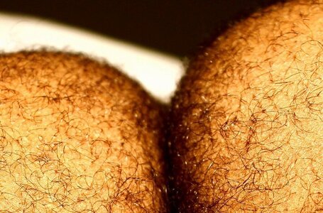 hairy cheeks.jpg