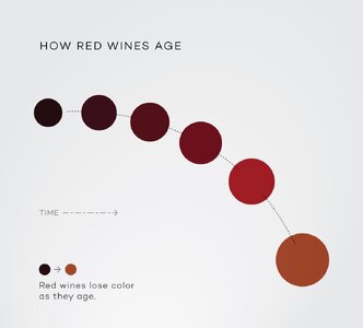 how-red-wines-age-winefolly-infographic.jpg