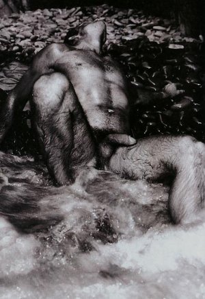 light and shadow (4).jpg