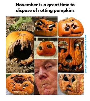 image1.jpg image1.jpg