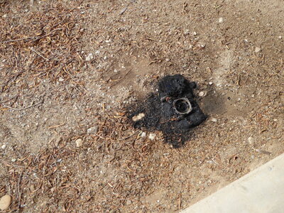 P1000631.JPG P1000631.JPG