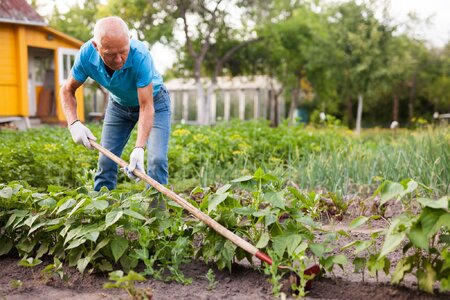man-uses-garden-hoe-weed-plants-garden.jpg