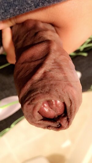 Foreskin Fuckers (55).jpg