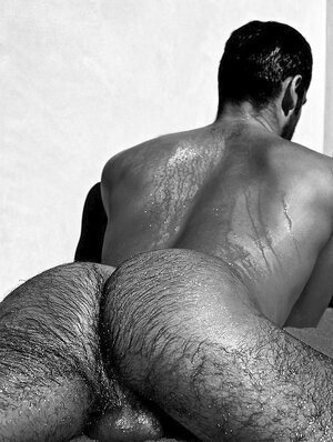 hairy ass4587.jpg