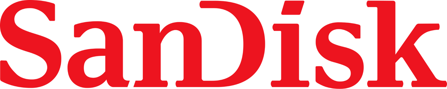 SanDisk_Logo_2007.svg.png