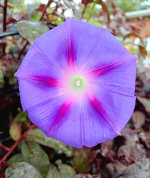 20240901_105655.jpg 20240901_105655.jpg