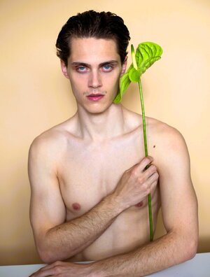 eis 125_f4e7ffda_1280.jpg