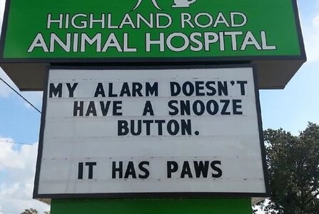 no snooze button.jpg