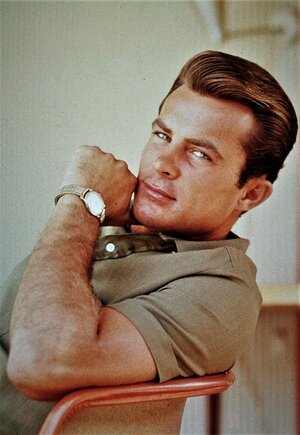 RIP Robert Conrad.jpeg