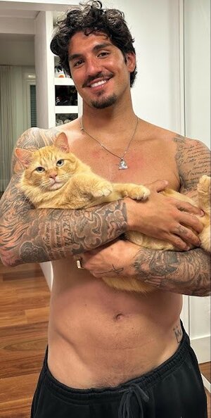 cat stao-crescendo-2.jpg