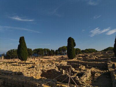 1727296129742.jpeg 1727296129742.jpeg