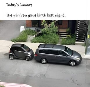 Minivan gave birth.jpg