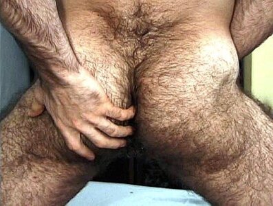 hairy ass66658.jpg