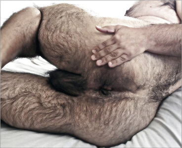 HAIRYASS854_1000.jpg