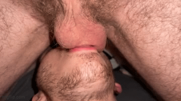lick balls 8pwy3i.gif