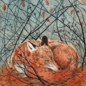 'Resting Fox' By Printmaker Sarah Bays.jpg