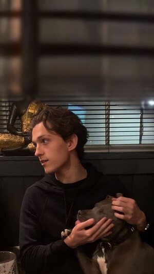 Tom Holland wallpaper.jpeg