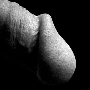 8342641924_3b0e5e22b8_o (1).jpg