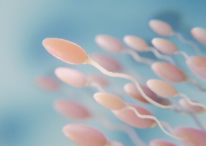 beautiful-fertility-concept-3d-rendering_23-2149230675.jpg