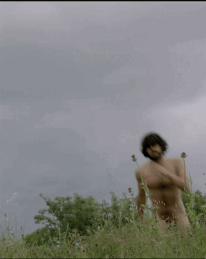 OlivierMuller01-Metamorphoses.gif