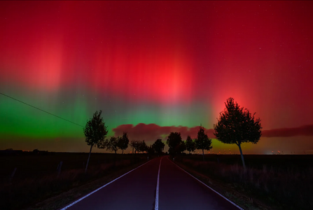 Screenshot 2024-10-15 at 14-15-05 Polarlichter und Komet Tsuchinshan-Atlas Was in diesen Nächt...png