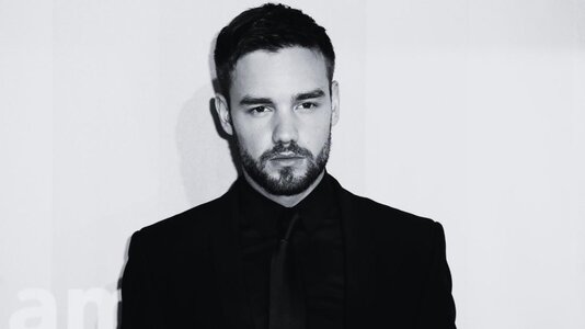 35904135-saenger-liam-payne-2020-2l7qIqfAknBG.jpg