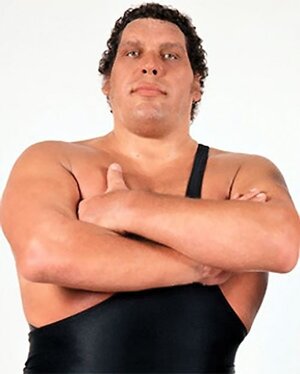 Andre-the-Giant-wrestler.jpg