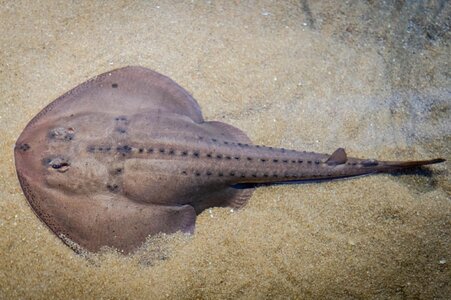 licensed-image (2).jpeg