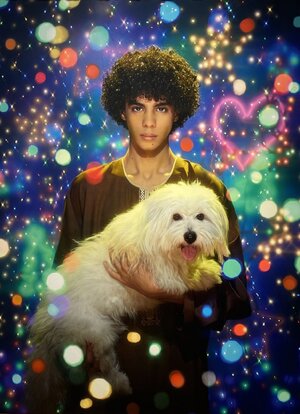 dog 541_img-3553.jpeg