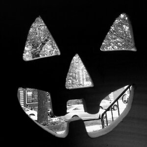 8 10 19 24.jpg 8 10 19 24.jpg