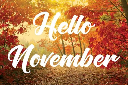 hello-november-129298378.jpg