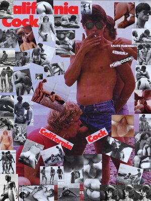 Gay 80s Hardcore Poster Series #3 - California Cock.jpg
