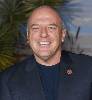 licensed-image (2).jpeg