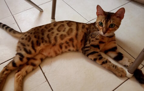 20220613_090442 (1) copy.jpg