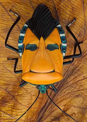 IMG_9566.webp IMG_9566.webp