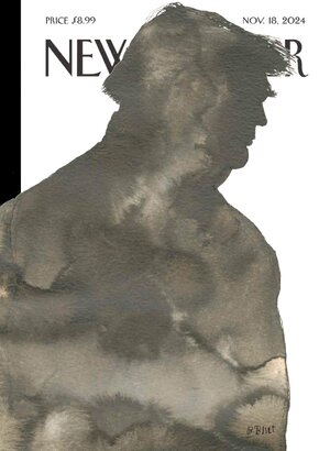 November 18, 2024 USA.jpg