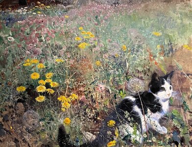 cat e6d_img-4217.jpeg