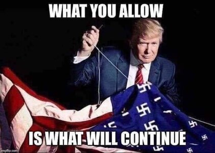 Trump Nazi Flag.jpg