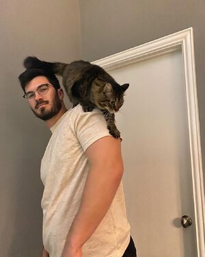 Austin Martin 338671434.jpg