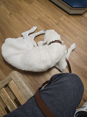 1000007321.jpg 1000007321.jpg