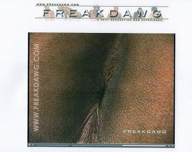 Freakdawg screen snap.jpg