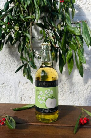 elderflower-cider.jpg