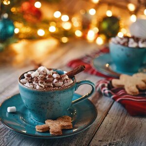 Hot-Chocolate-with-Marshmallows.jpg