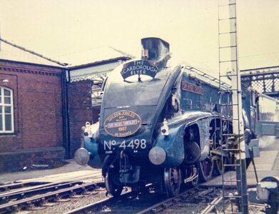 IMG_6717_Original.jpeg IMG_6717_Original.jpeg