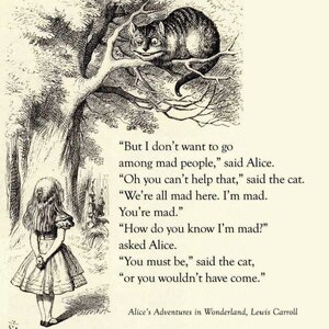 mad-people-alice-in-wonderland-lewis-carroll-Favim.com-6740393.jpg